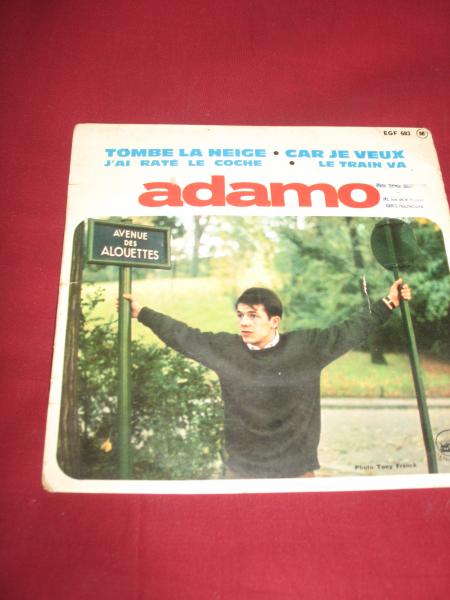 adamo tombe la neige